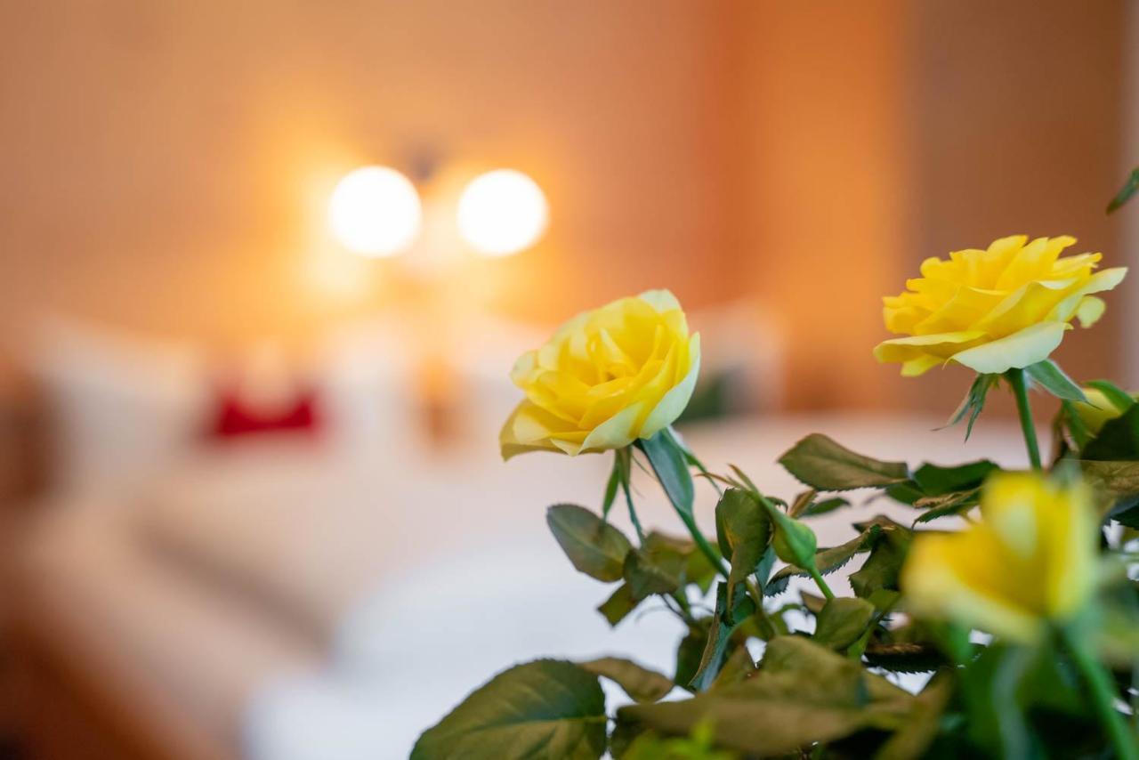 Ferienwohnung Heidi Elmen エクステリア 写真